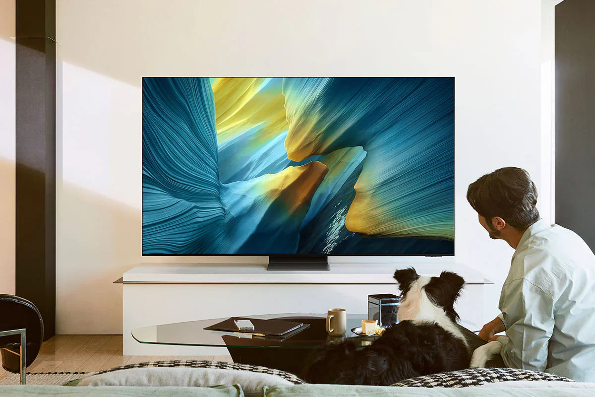 Samsung S95F 65" 16:9 120Hz 4K HDR OLED Smart TV